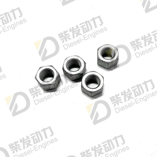 Hexagon nut 979021